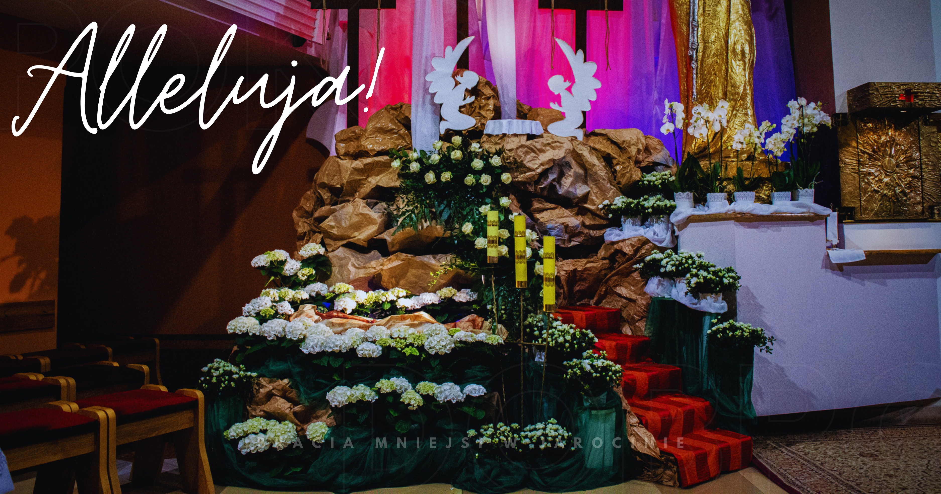 Nie ma Go tu. On zmartwychwstał. Prawdziwie zmartwychwstał!